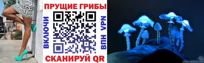 Псилоцибиновые грибы Psilocybine cubensis  Купить  Камень-на-Оби 